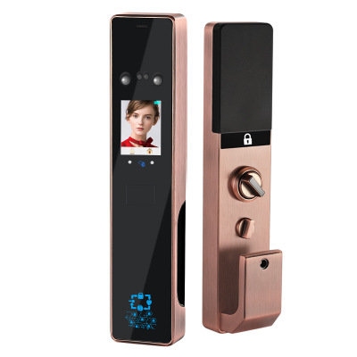 全自動(dòng)人臉識別智能電子密碼鎖